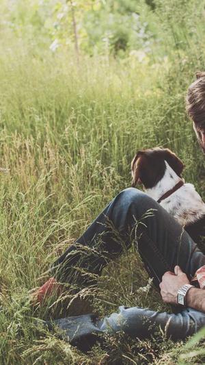 网站做seo优化截图2