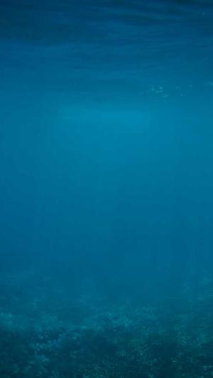 蜘蛛池叫什么名字截图2