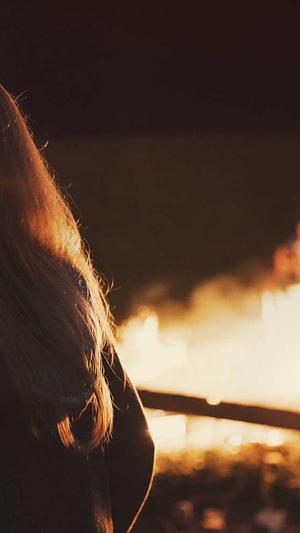 重庆seo网站设计截图1