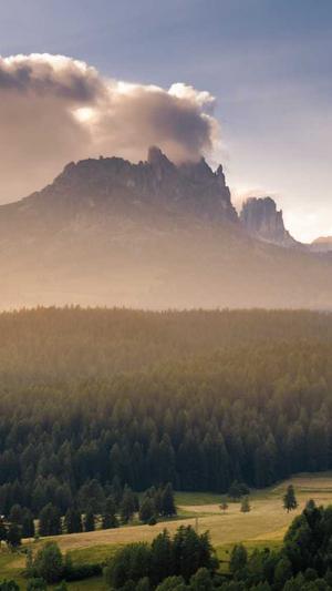 seo泛目录怎么操作快照截图4