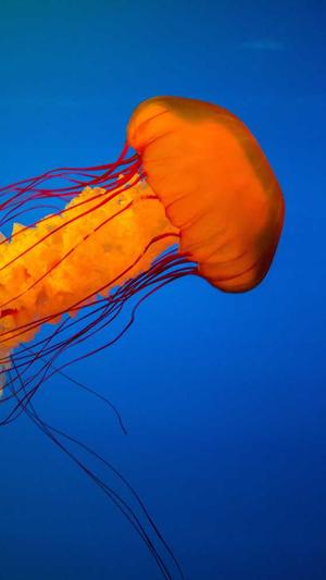 小旋风万能蜘蛛池站群截图2