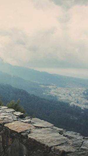 福建网站建设截图3