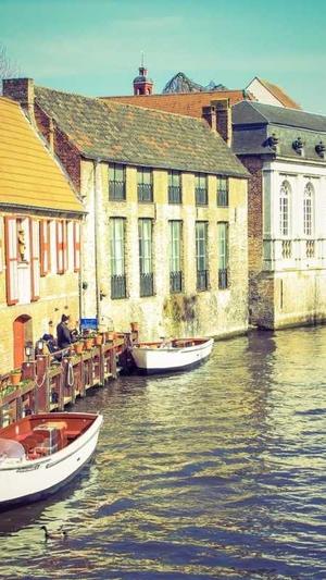 滨州seo优化截图4