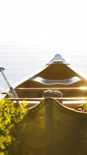 seo关键词工具大全截图2