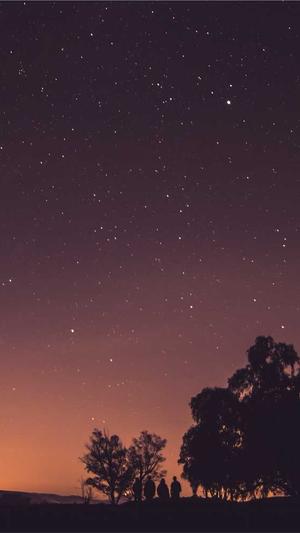 北京seo推广工具截图4