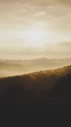 seo优化推广工具截图4