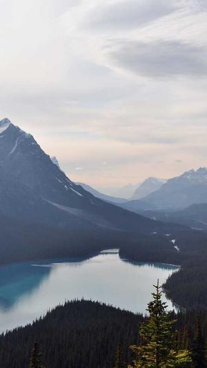 怎么seo优化截图3