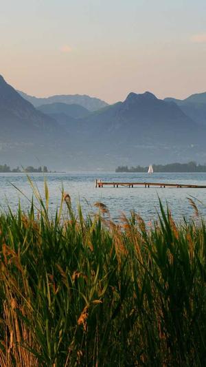 seo站长工具平台排名截图3