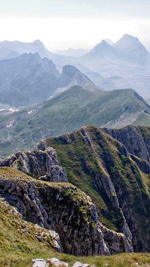 百度蜘蛛池出租提供商截图2