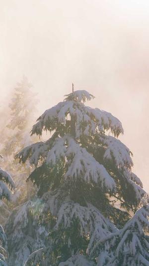 长沙网站建设要多少钱截图5