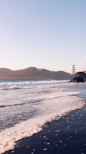 沈阳seo排名截图5