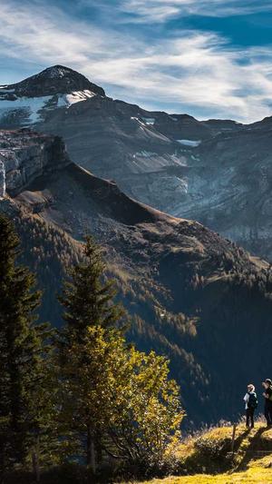 衢州网站建设截图2