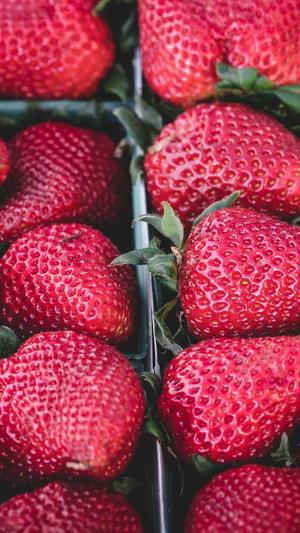 seo自动推广工具关键词截图3