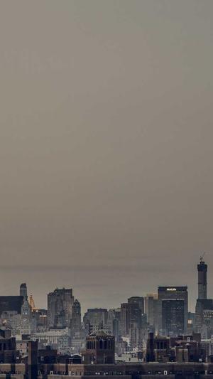 下载站泛目录站群截图3