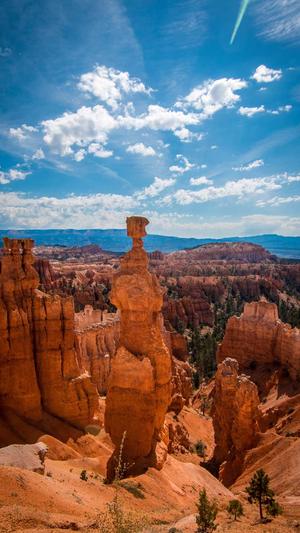 如何搭建高质量蜘蛛池截图3