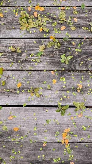 高端企业网站建设蓦然郑州网站建设截图4