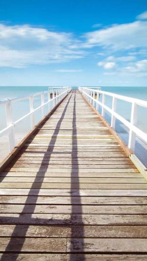 站外seo优化工具截图1