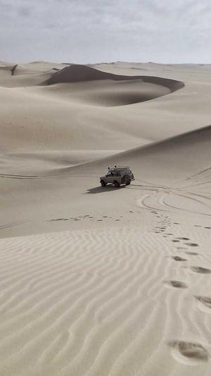 seo常用工具seo博客截图3