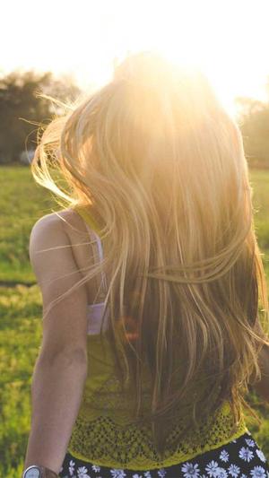 自动蜘蛛池截图3