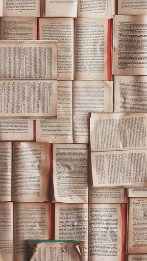 蜘蛛池租用价格表截图2