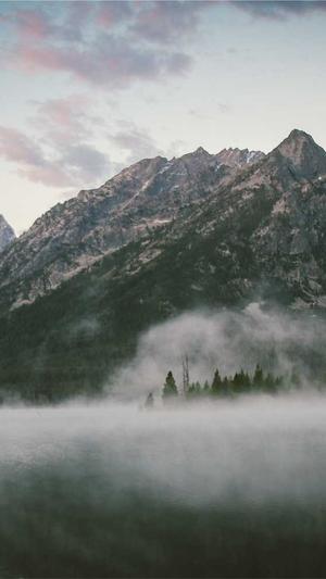 seo快速排名工具截图2