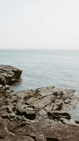 蜘蛛池源码是真的吗截图1