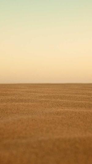 泛目录还有效果吗截图4