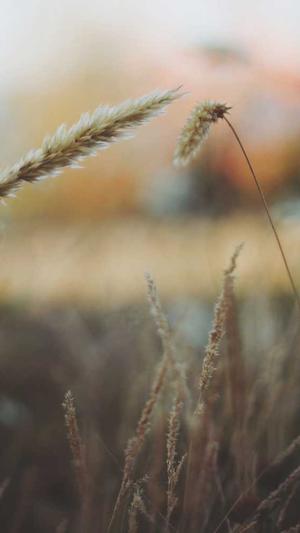 重庆seo优化方法截图2