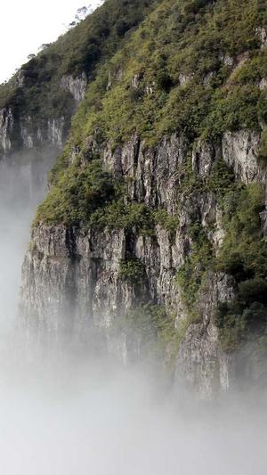 泛目录如何处理seo黑帽截图2